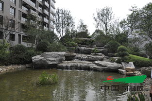 普天園林問鼎2014中國風(fēng)景園林學(xué)會(huì)優(yōu)秀園林工程大金獎(jiǎng)，假山藝術(shù)再創(chuàng)輝煌